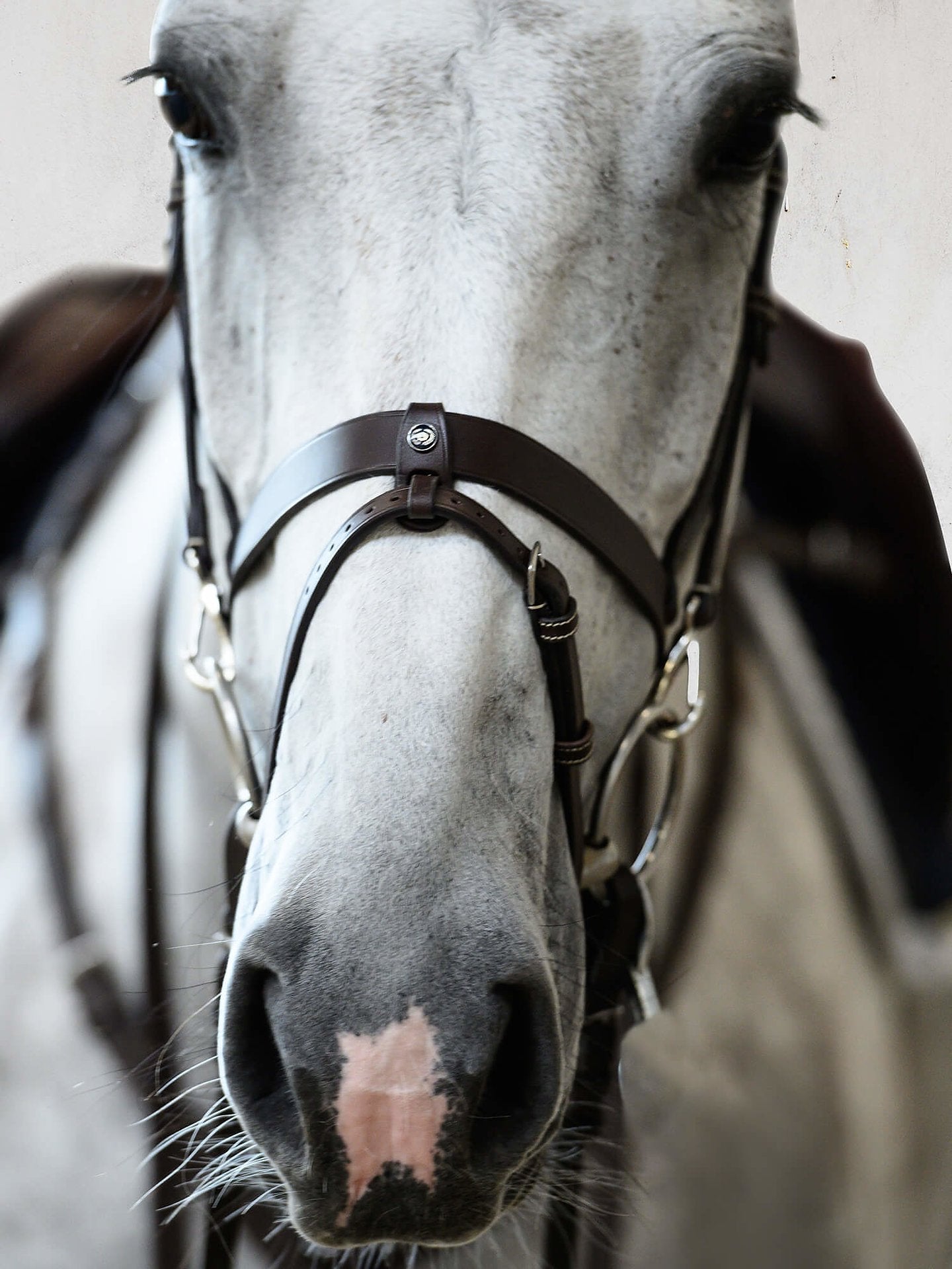 PS of Sweden Bridle London