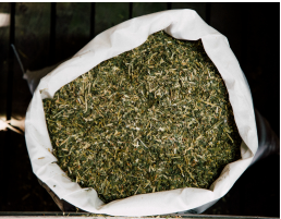 Future Feeds Premium Lucerne Chaff