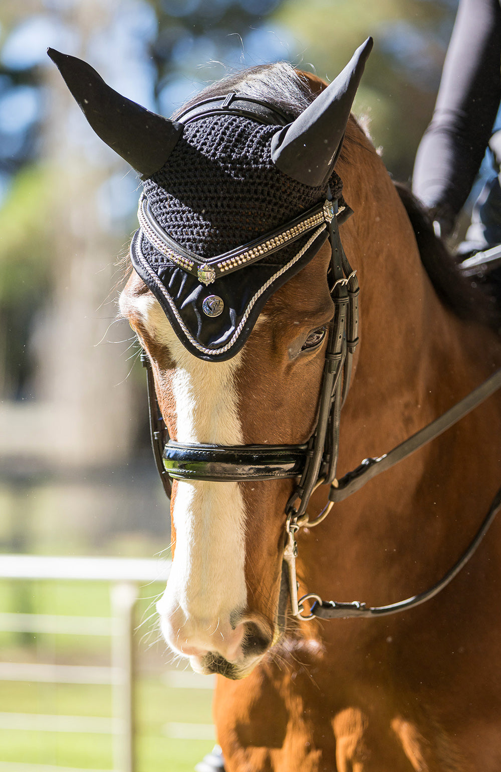 BARE Equestrian Horse Wear &
