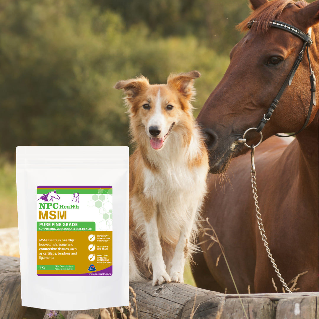 NPC Health MSM Supplement for Horses and Dogs