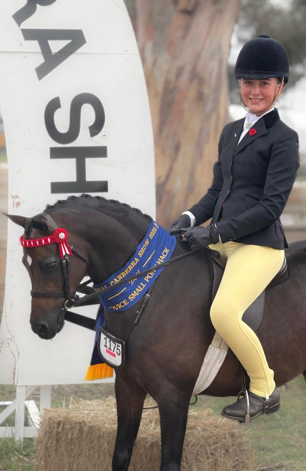 BARE Equestrain Youth Competition Wear Tights