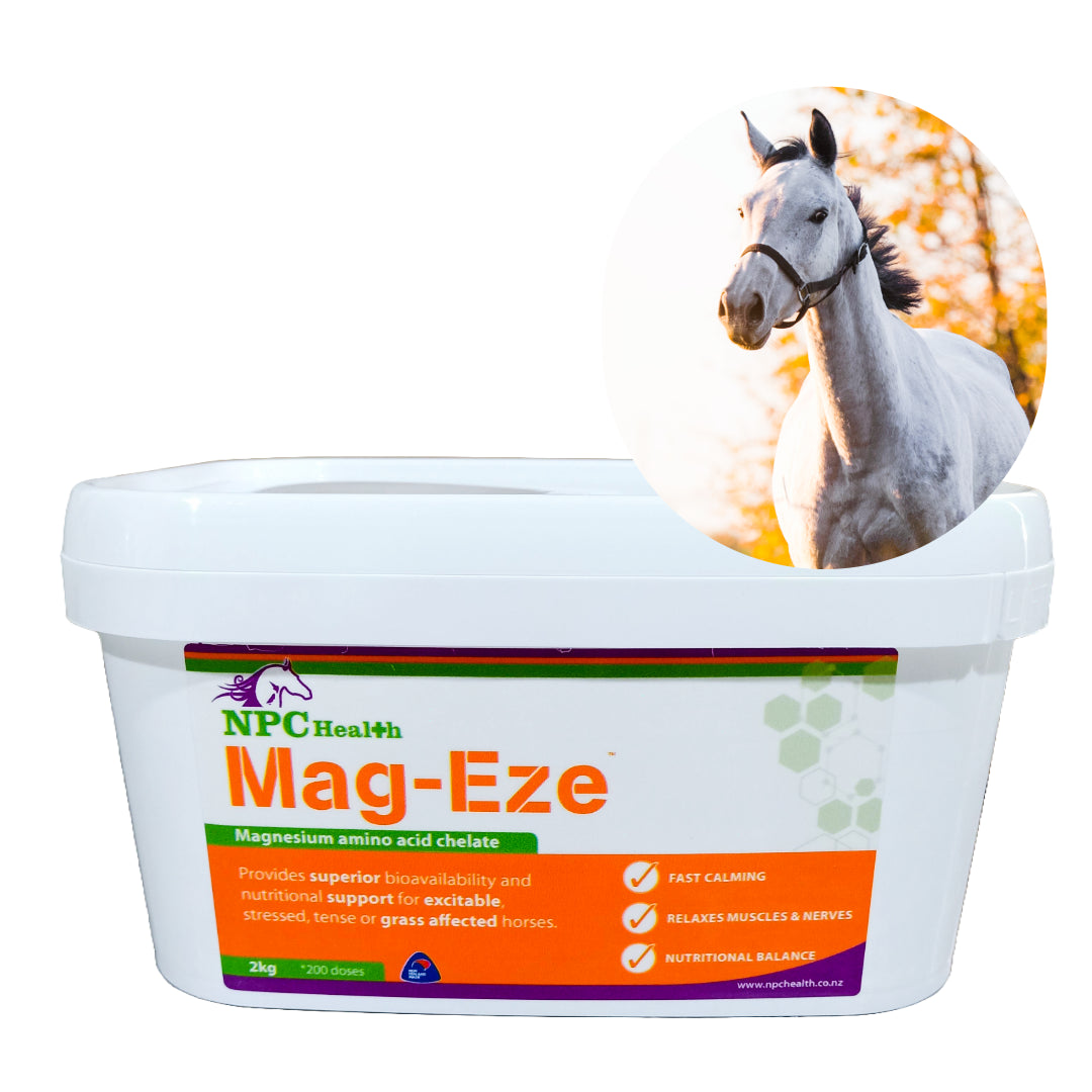 NPC Health Mag-Eze Magnesium Supplement