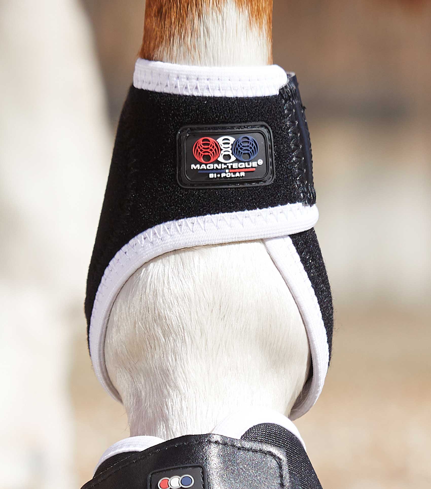 Premier Equine Magni Teque Magnetic Fetlock Boots nztack