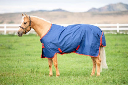 Mio Lite Turnout Standard Neck
