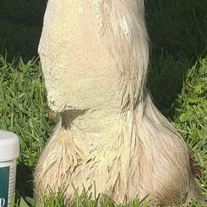 Eco Horse Mud Monster Lotion