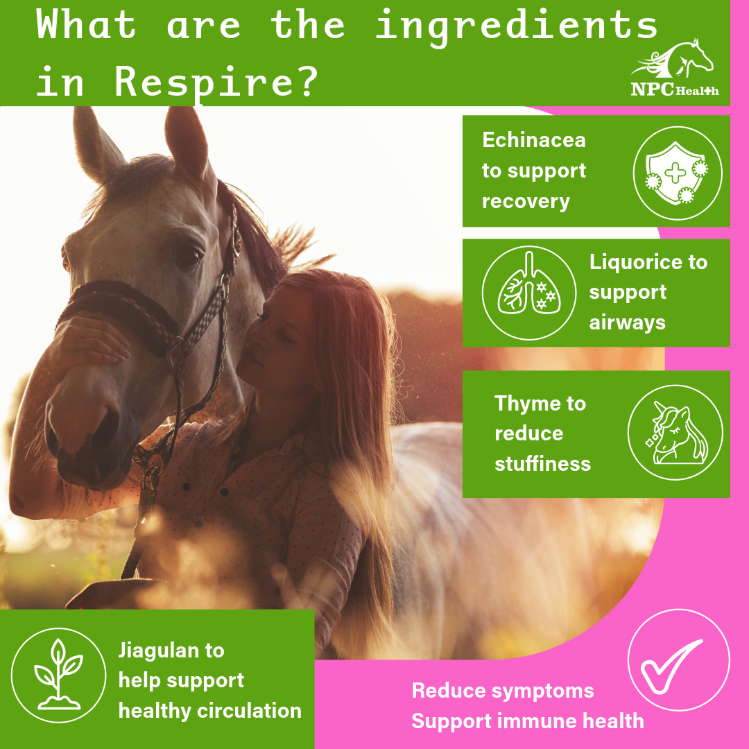 NPC Health Equine Respire Respiratory Supplement