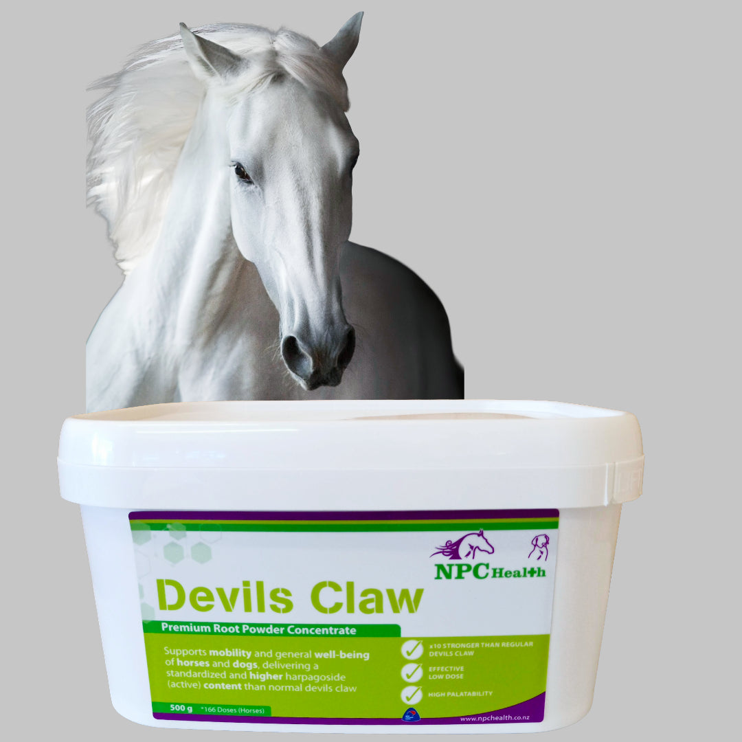 NPC Health High Strength Devils Claw