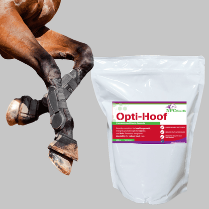 NPC Health Opti-HOOF Biotin Supplement