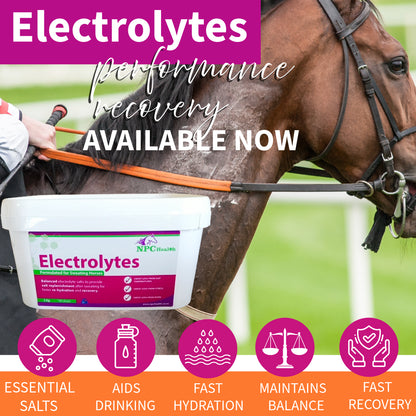 NPC Health Electrolytes for horses