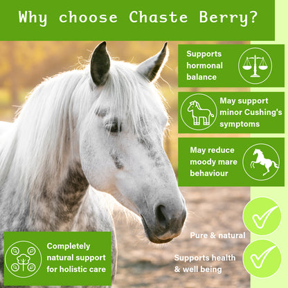NPC Health Equine Chaste Berry