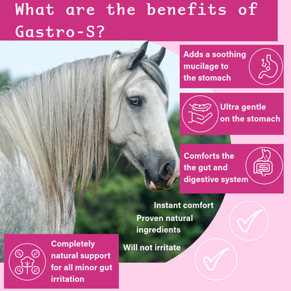 NPC Health Gastro-S Natural Ulcer Support