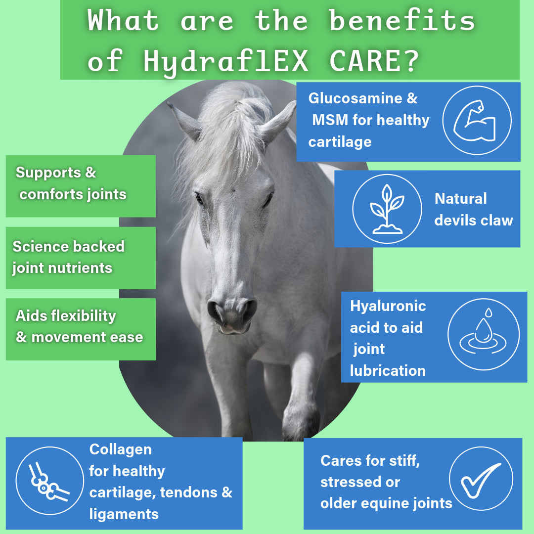 NPC Health Hydra-Flex Care for Stiff Horses