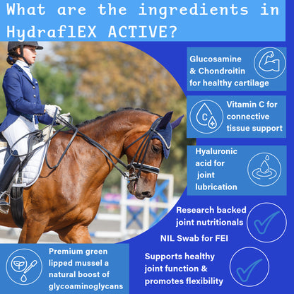 NPC Health Hydra-flex Active Joint Supplement for horses