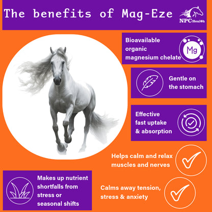 NPC Health Mag-Eze Magnesium Chelate Supplement