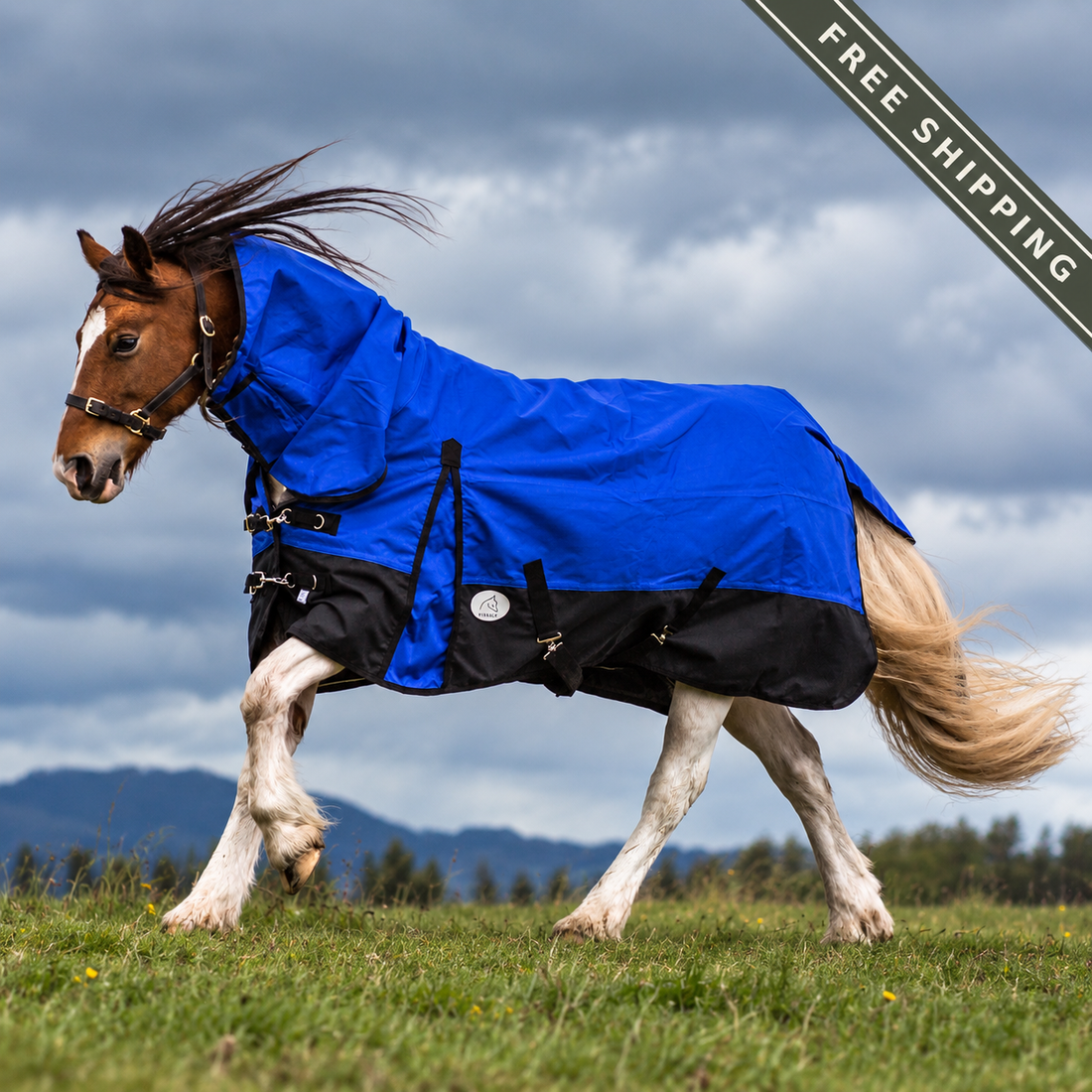 NZ Tack Duke 1200D Combo FREE SHIPPING