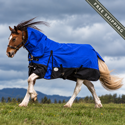 NZ Tack Duke 1200D Combo FREE SHIPPING