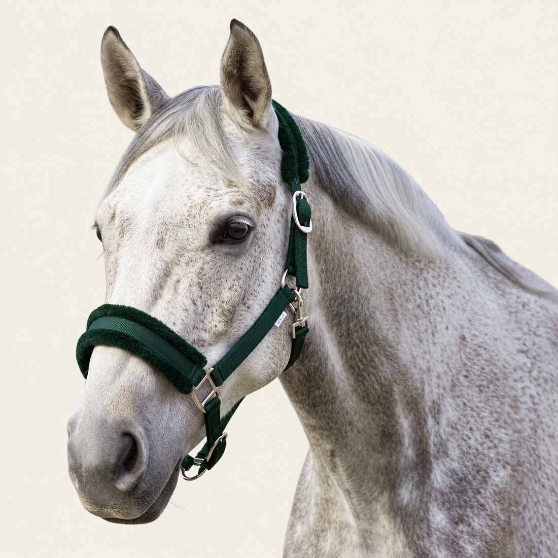NZ Tack Signature Fleece Halter