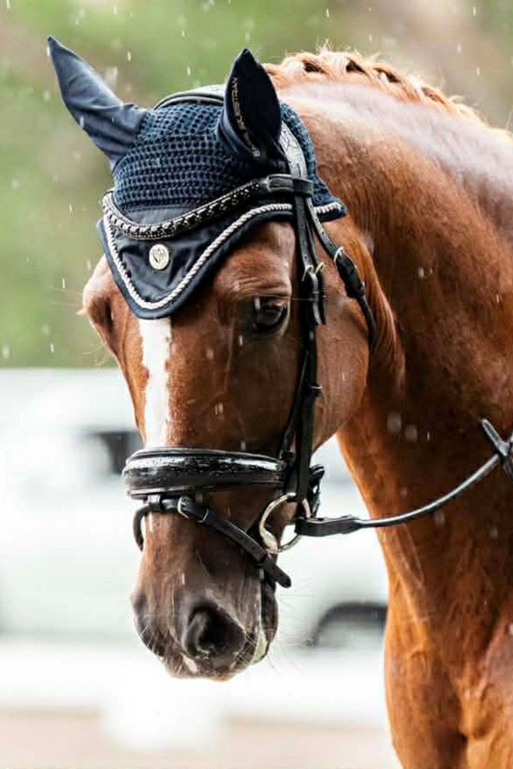 BARE Equestrian Horse Wear &