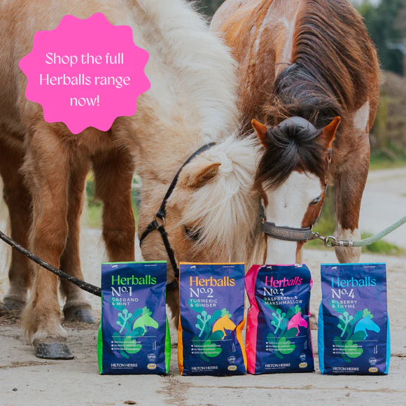 Hilton Herbs Herballs Treats