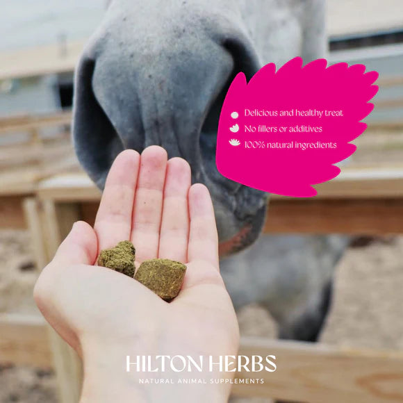 Hilton Herbs Herballs Treats