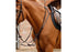 Premier Equine Norbello Hunter Breastplate