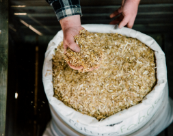 Future Feeds Premium Oaten Chaff