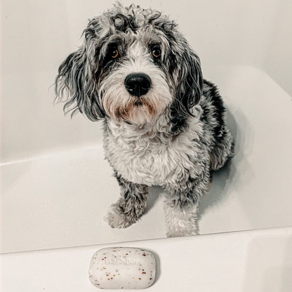Original WashBar soap for dogs