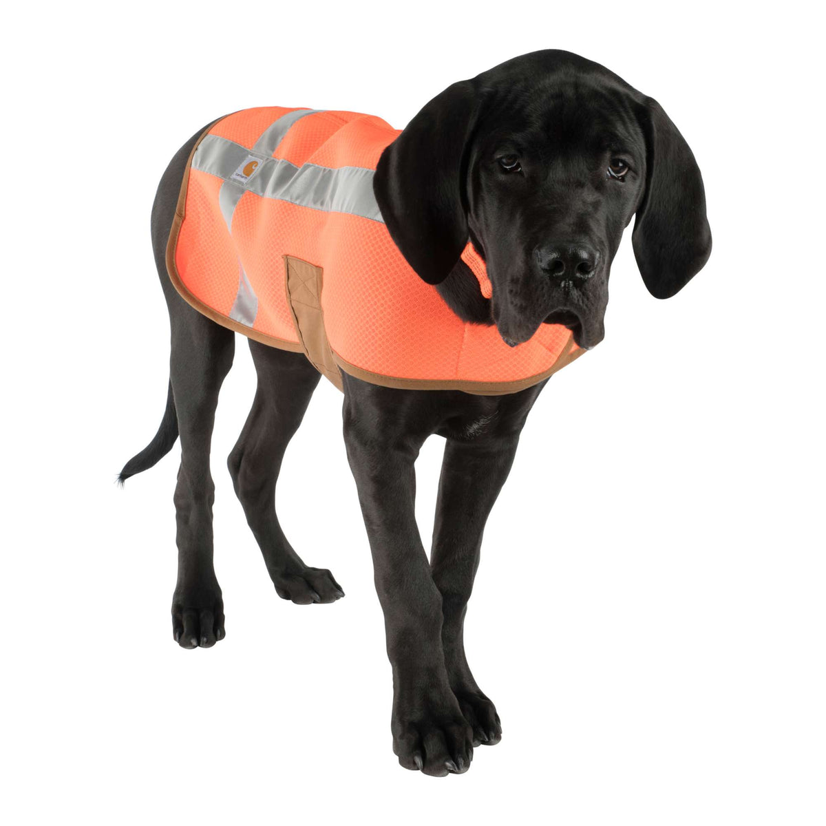 Carhartt Dog Safety Vest - Hunter Orange