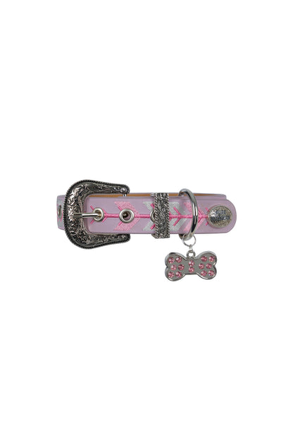 Pure Western Kaira Dog Collar