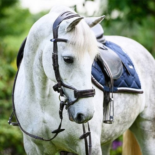 PS of Sweden Bridle High Jump