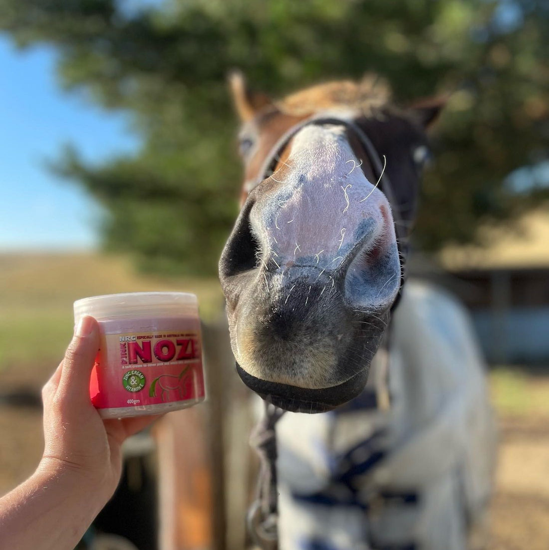 NRG Pink Noze