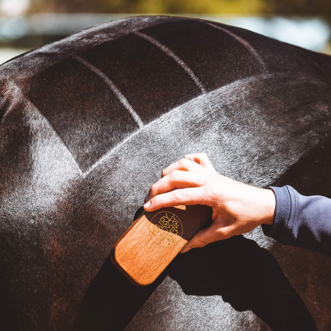 Hairy Pony Quarter Mark Horse Brush