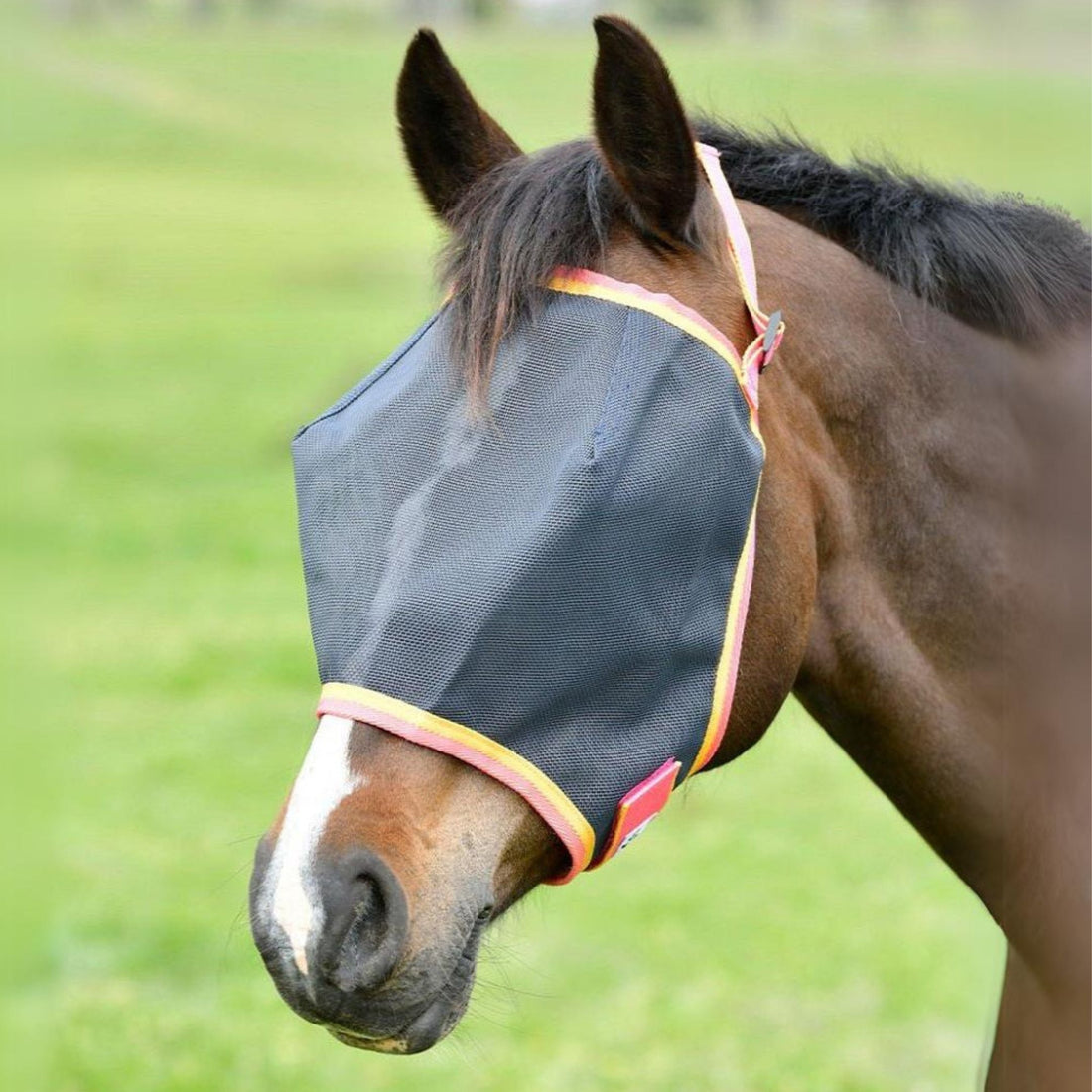 Saxon Buzz Away Fly Mask