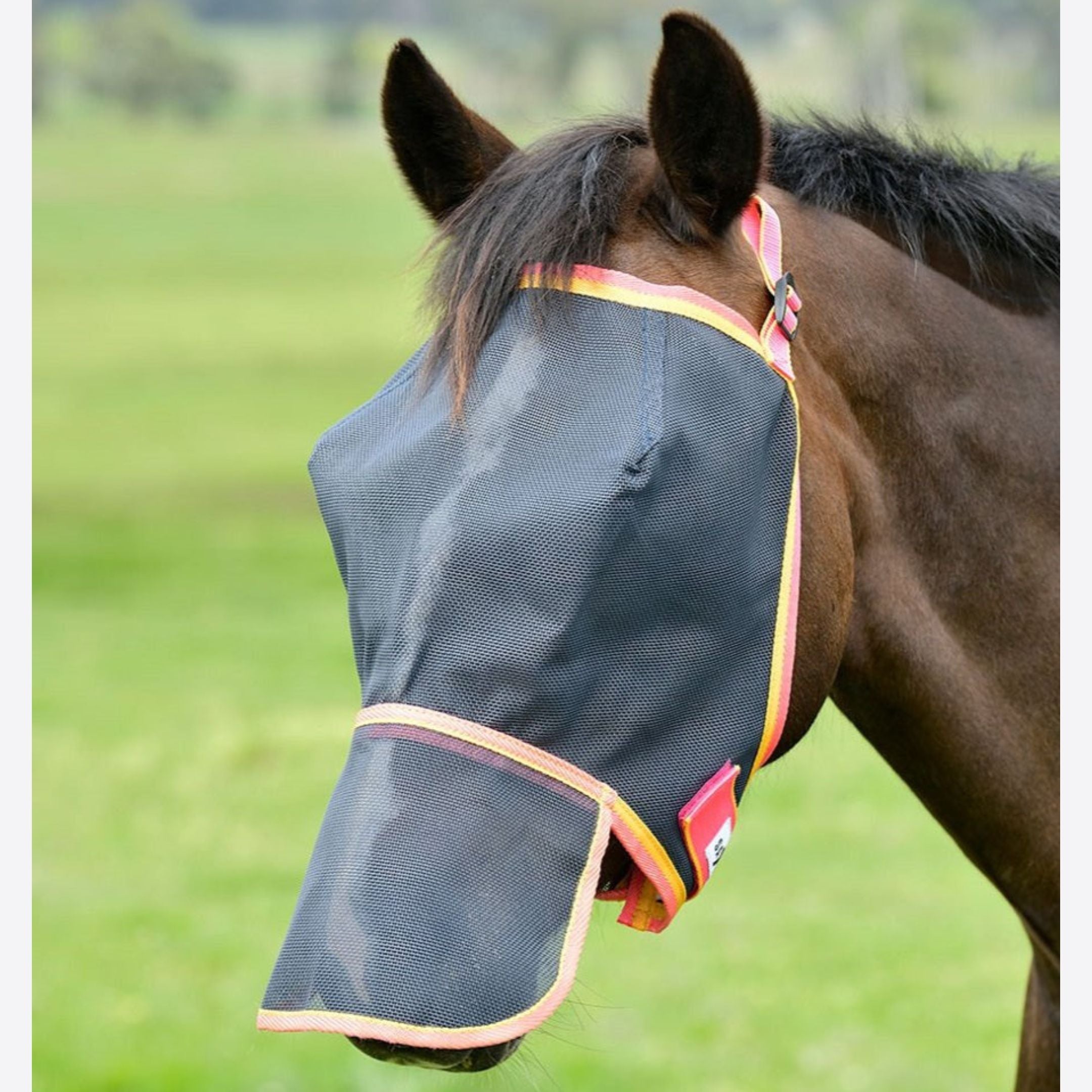 Saxon Buzz Away Fly Mask with Nose