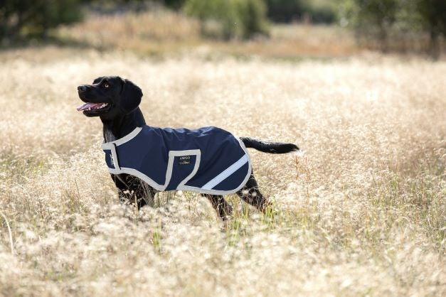 Amigo Dog Rug Ripstop
