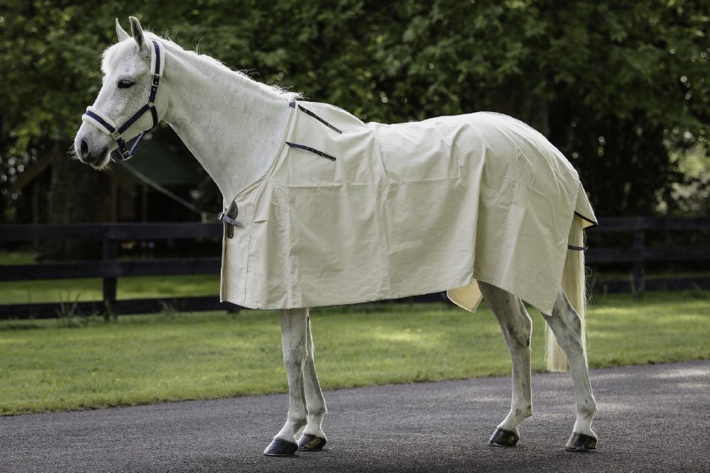 Flair Summer Cotton Rug