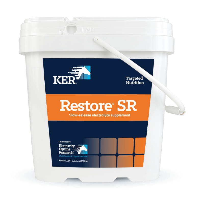 KER Restore SR slow-release electrolyte