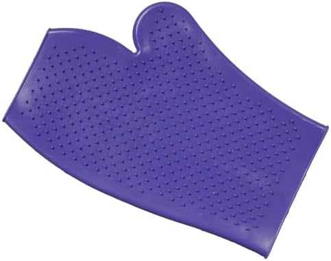 Roma Rubber Grooming Mitt