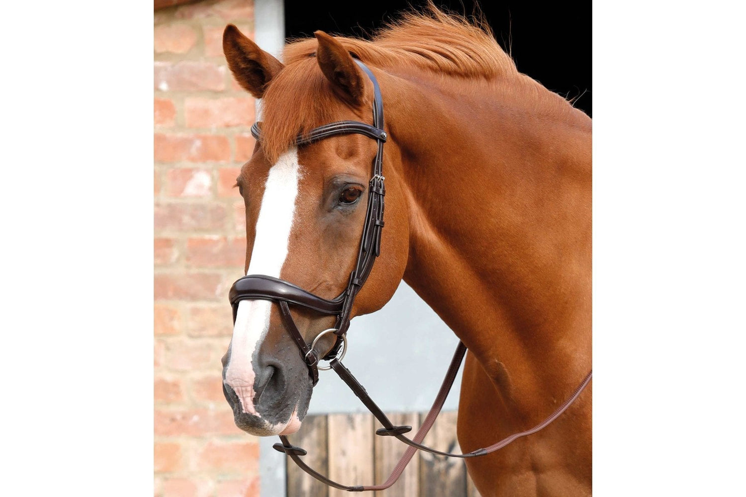 Premier Equine Savuto Anatomic Bridle with Crank Noseband &amp; Flash