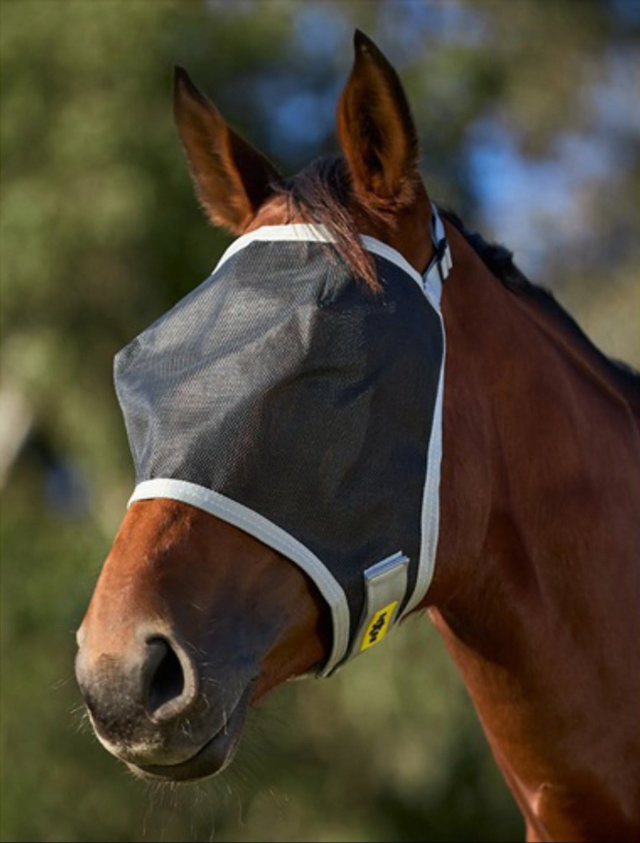 Saxon Buzz Away Fly Mask