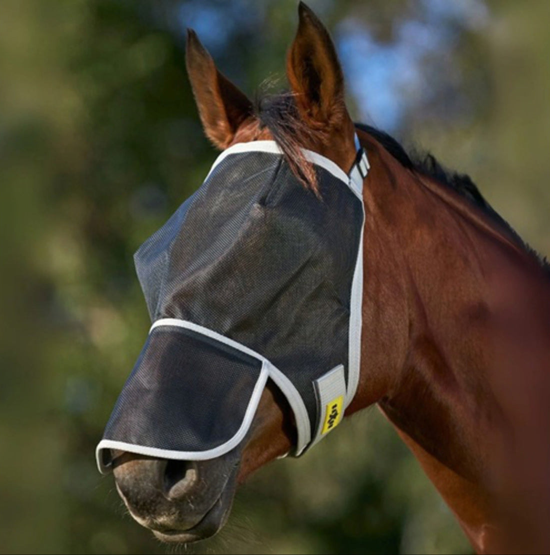 Saxon Buzz Away Fly Mask With Nose