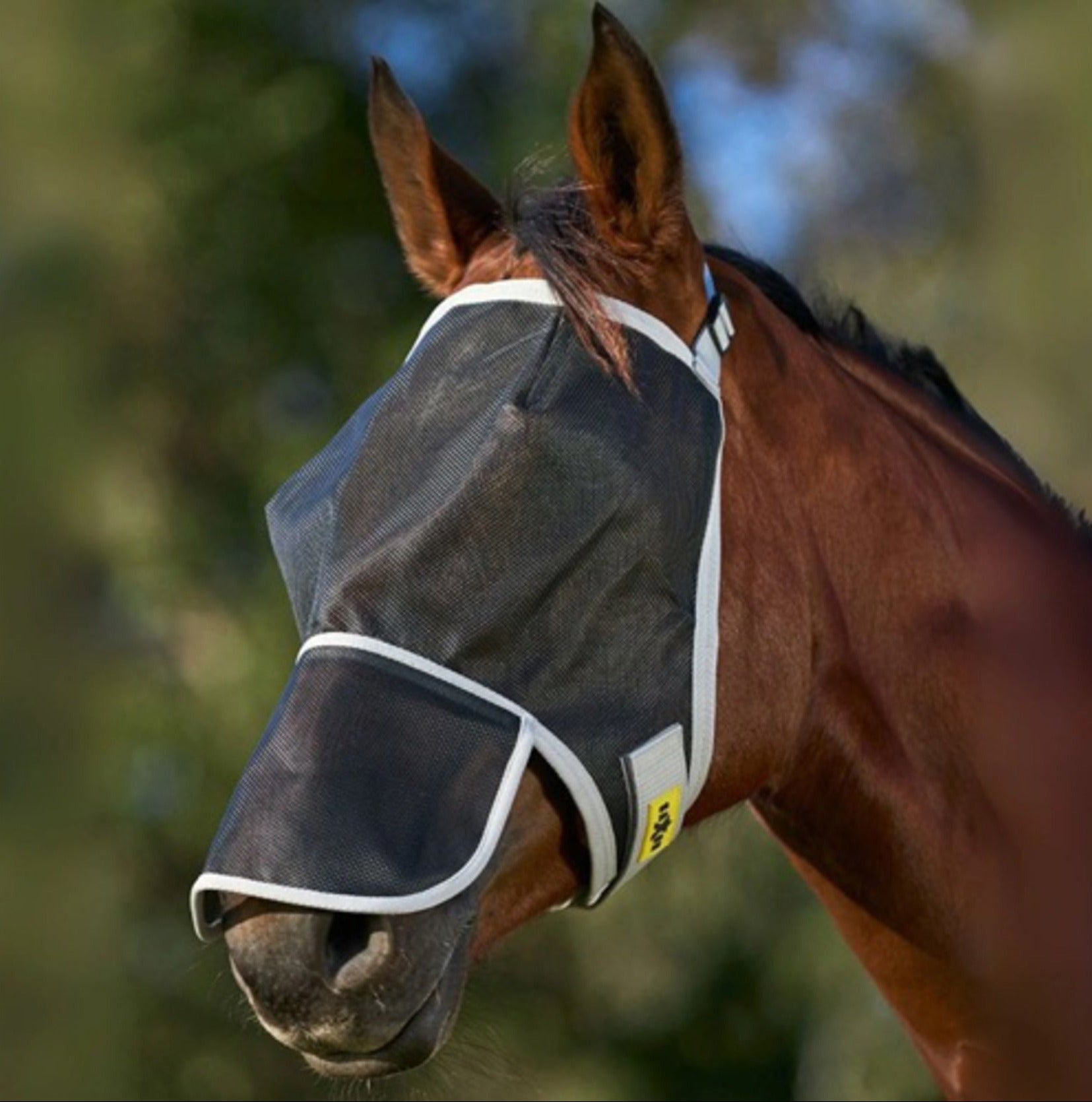 Saxon Buzz Away Fly Mask With Nose