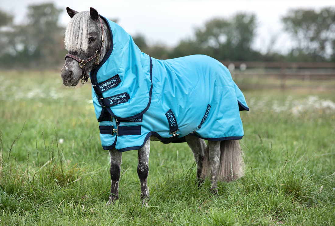 Amigo Hero 6 Petite Plus Turnout Lite Detach-A-Neck