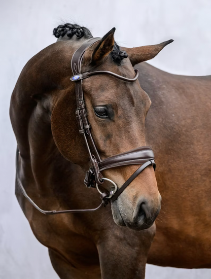 PS of Sweden Bridle GP