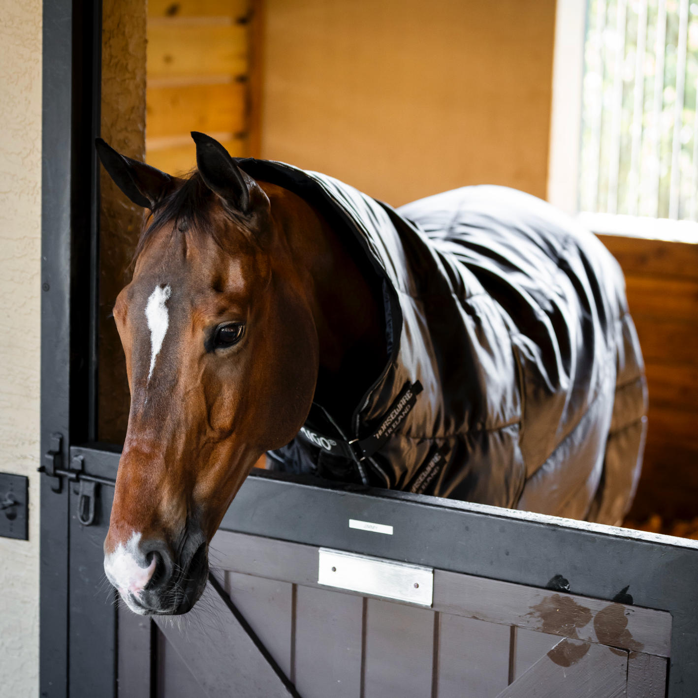 Horseware Amigo Ripstop Insulator Plus Pony Stable 200g Navy/Titanium Horseware Amigo Ripstop Insulator Plus Pony Stable 200g Navy/Titanium