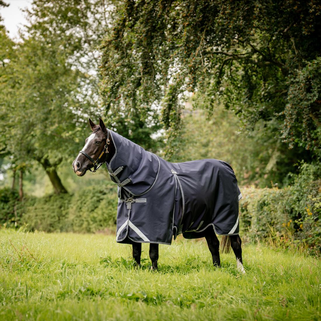 Rambo Optimo Plus Turnout Bundle