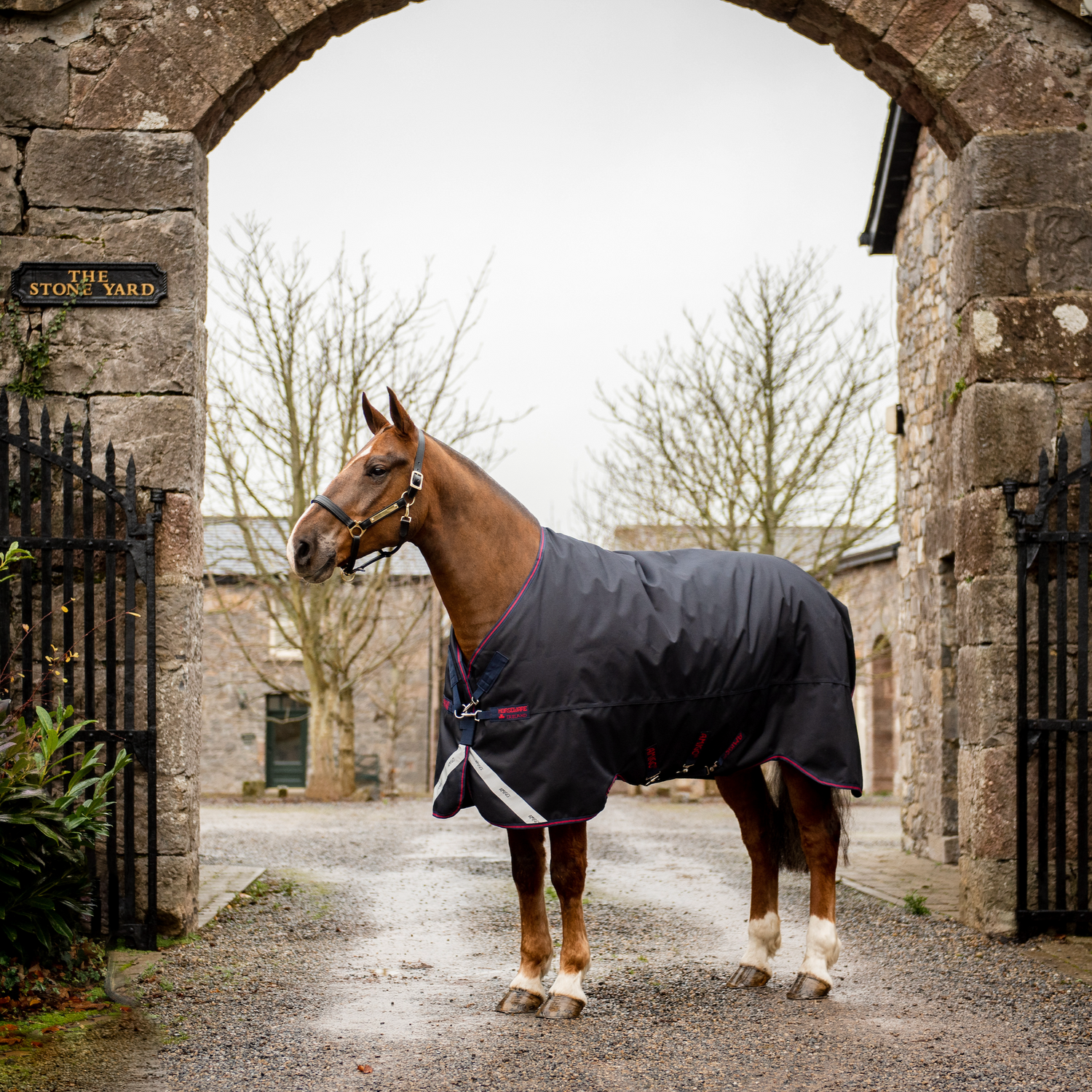 Amigo 1200D XL Turnout Standard Neck