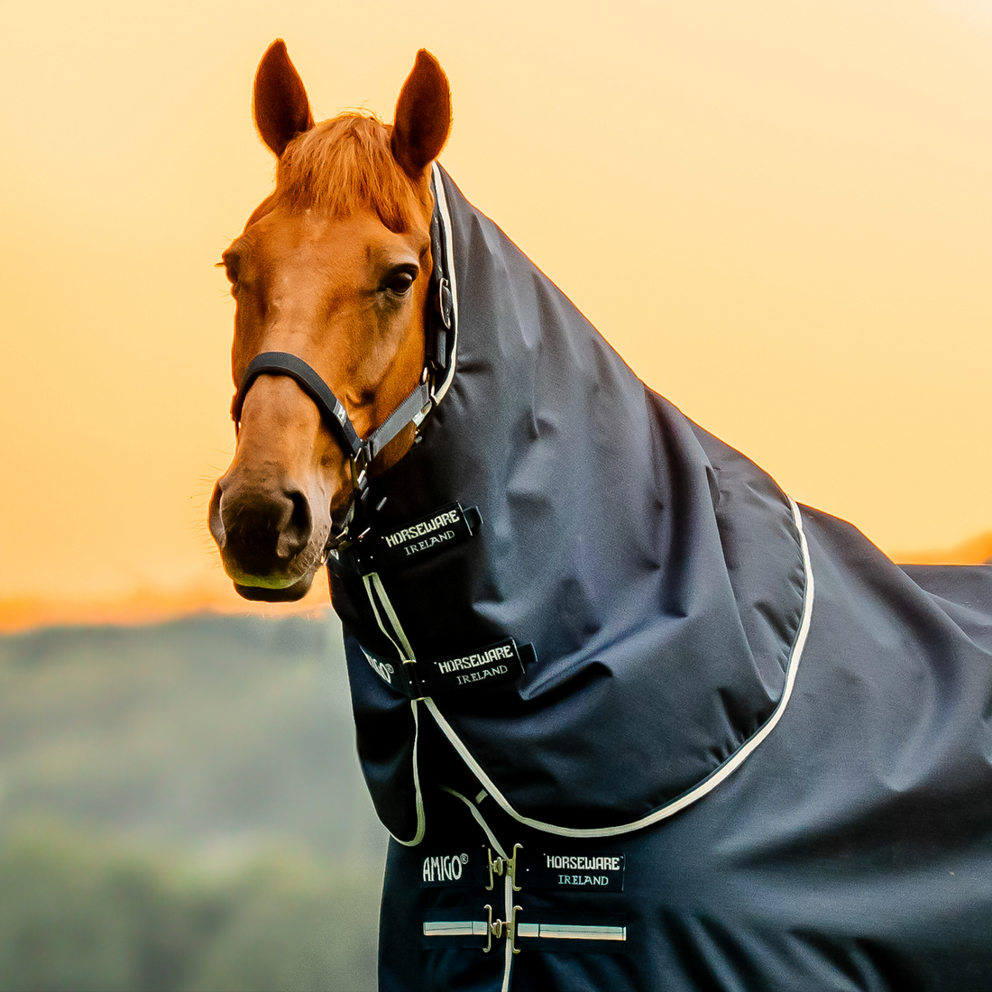 Amigo Ripstop 900D Turnout Neck Rug