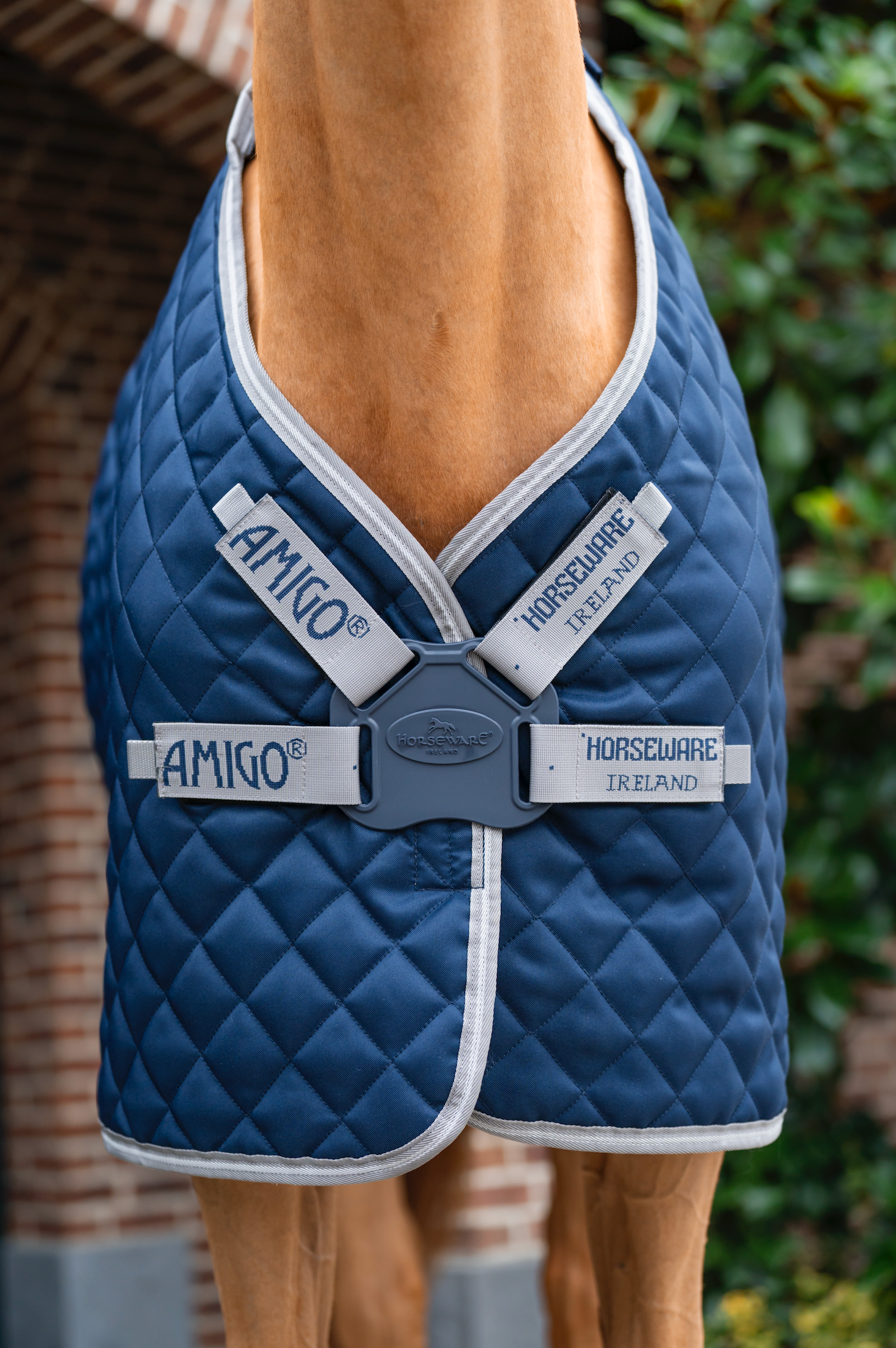 Amigo Quilted Stable Plus Detach-A-Neck