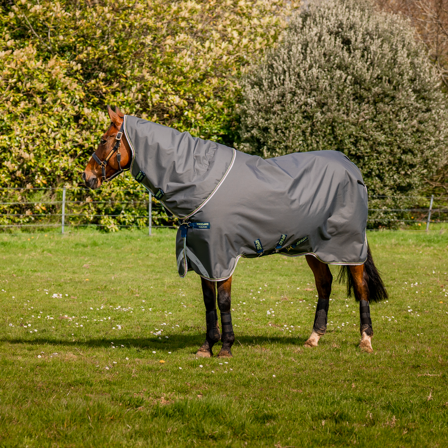 Amigo 1200D Plus Turnout Detach-A-Neck